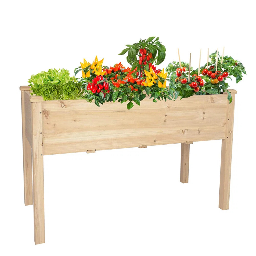 Arlmont & Co. Wood Elevated Planter Raised Garden Bed | Wayfair | Wayfair North America