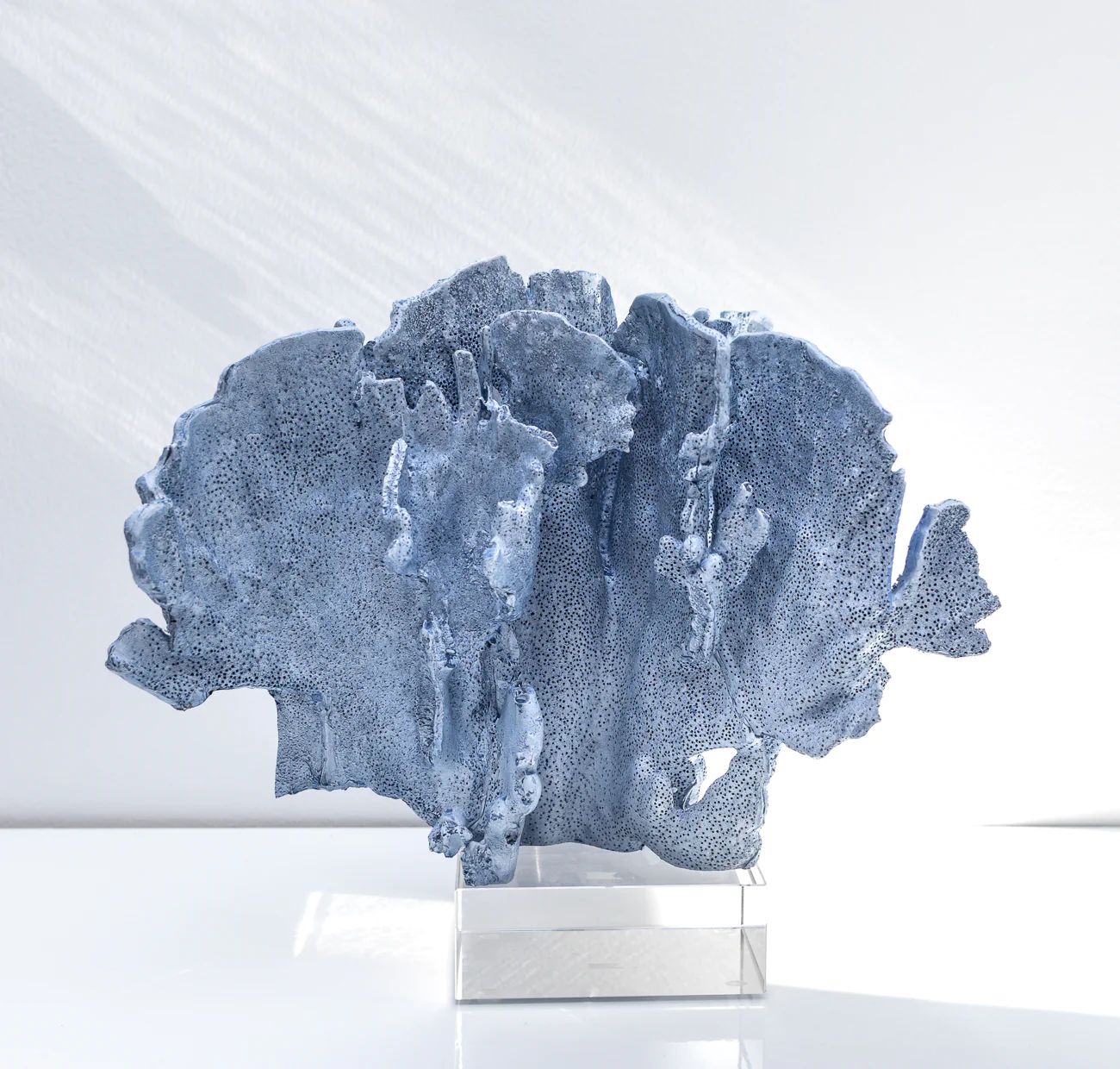 Blue Coral Sculpture on Glass Base | Burke Decor