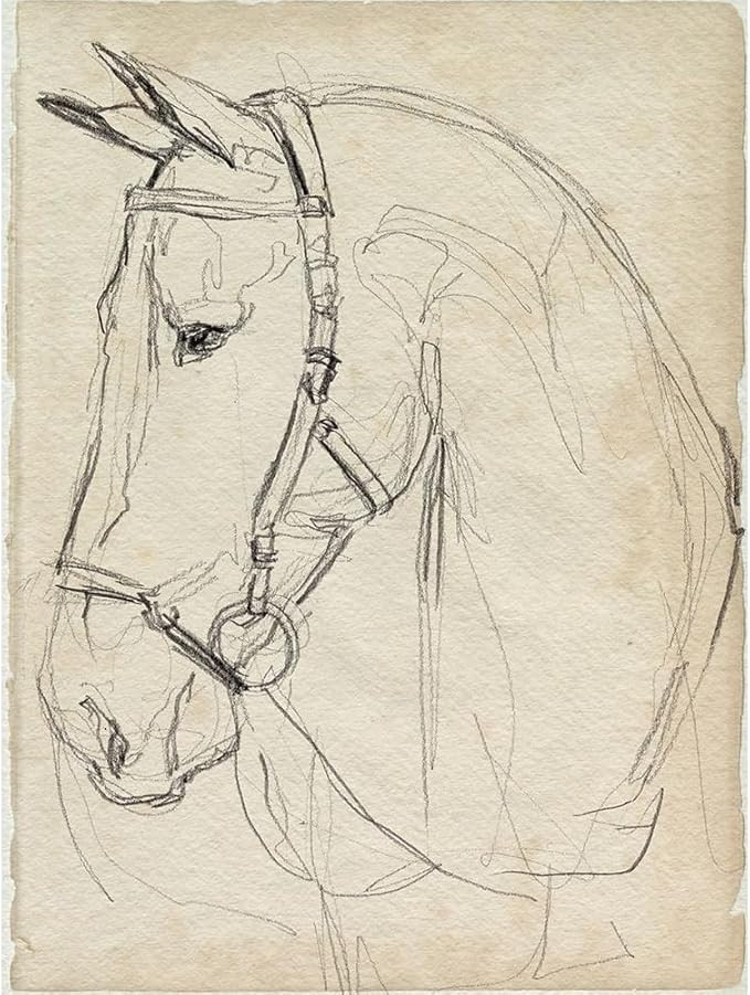 ArtDirect Horse in Bridle Sketch II 8x10 UnFramed Art Print Poster Ready for Framing by Parker, J... | Amazon (US)