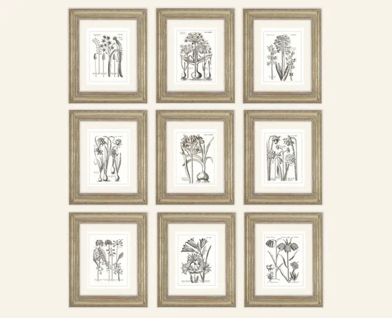 Set of 9 Botanical Art Prints in Sepia on Archival Watercolor - Etsy | Etsy (US)