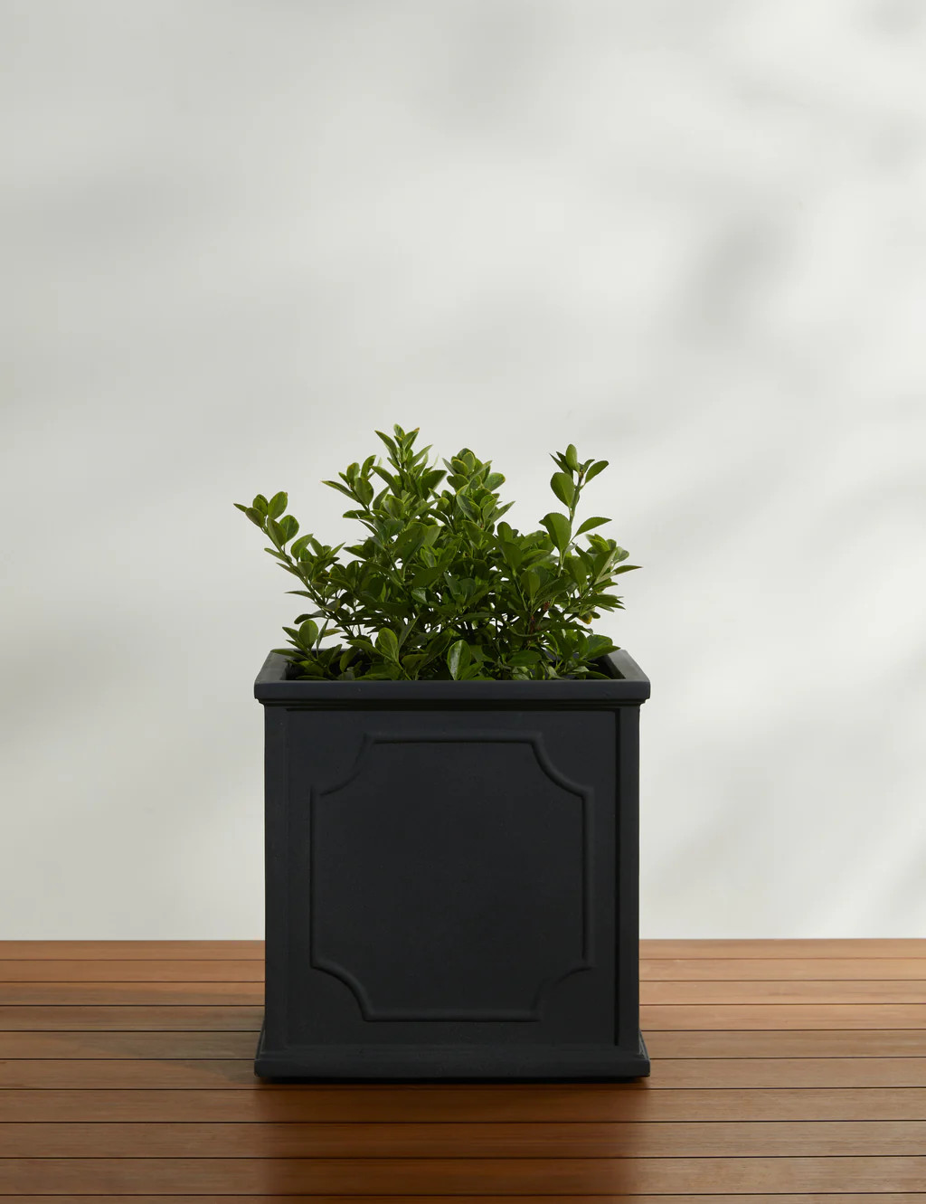 Cumberland Planter by Campania International | Lulu and Georgia 