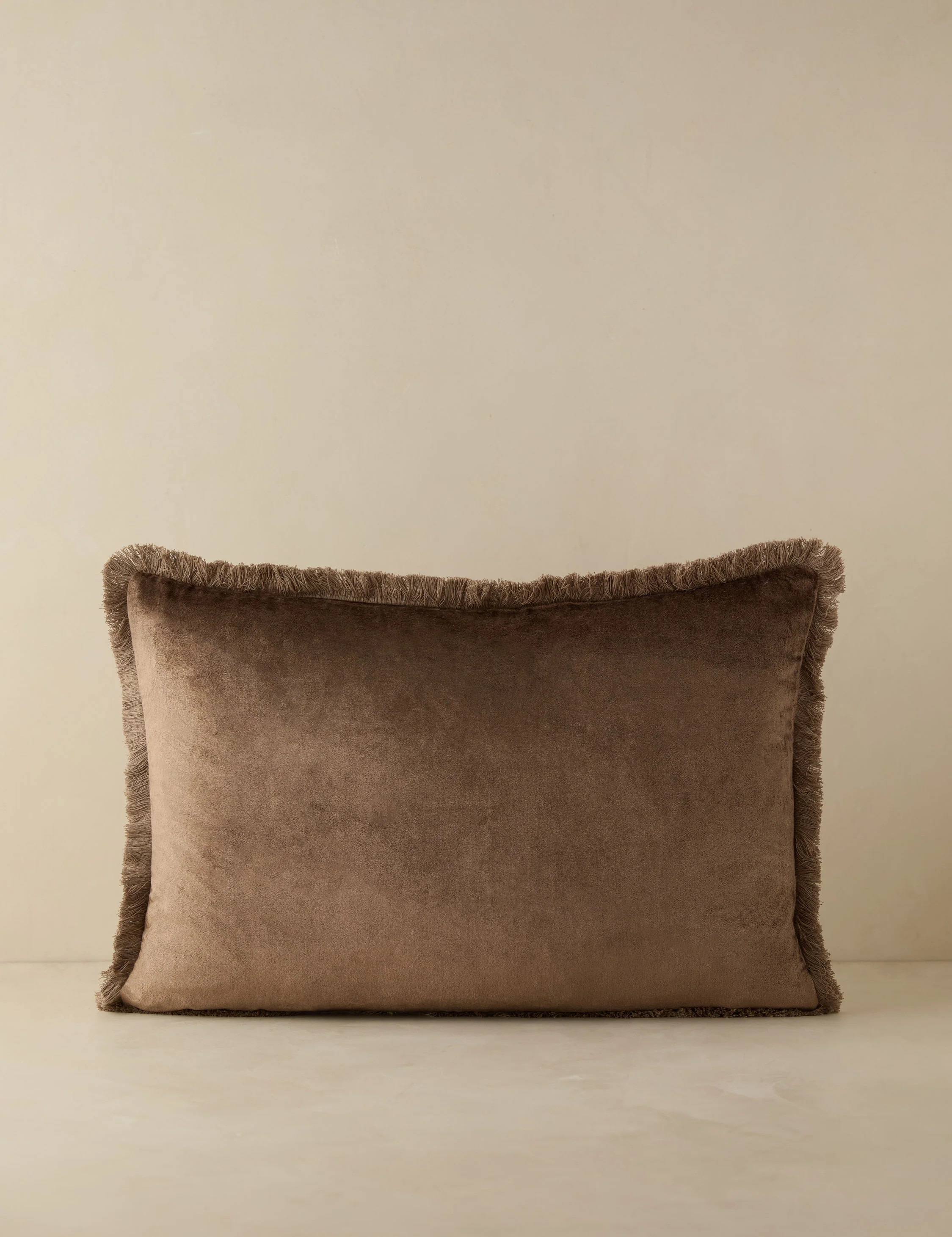 Brandis Velvet Pillow | Lulu and Georgia 