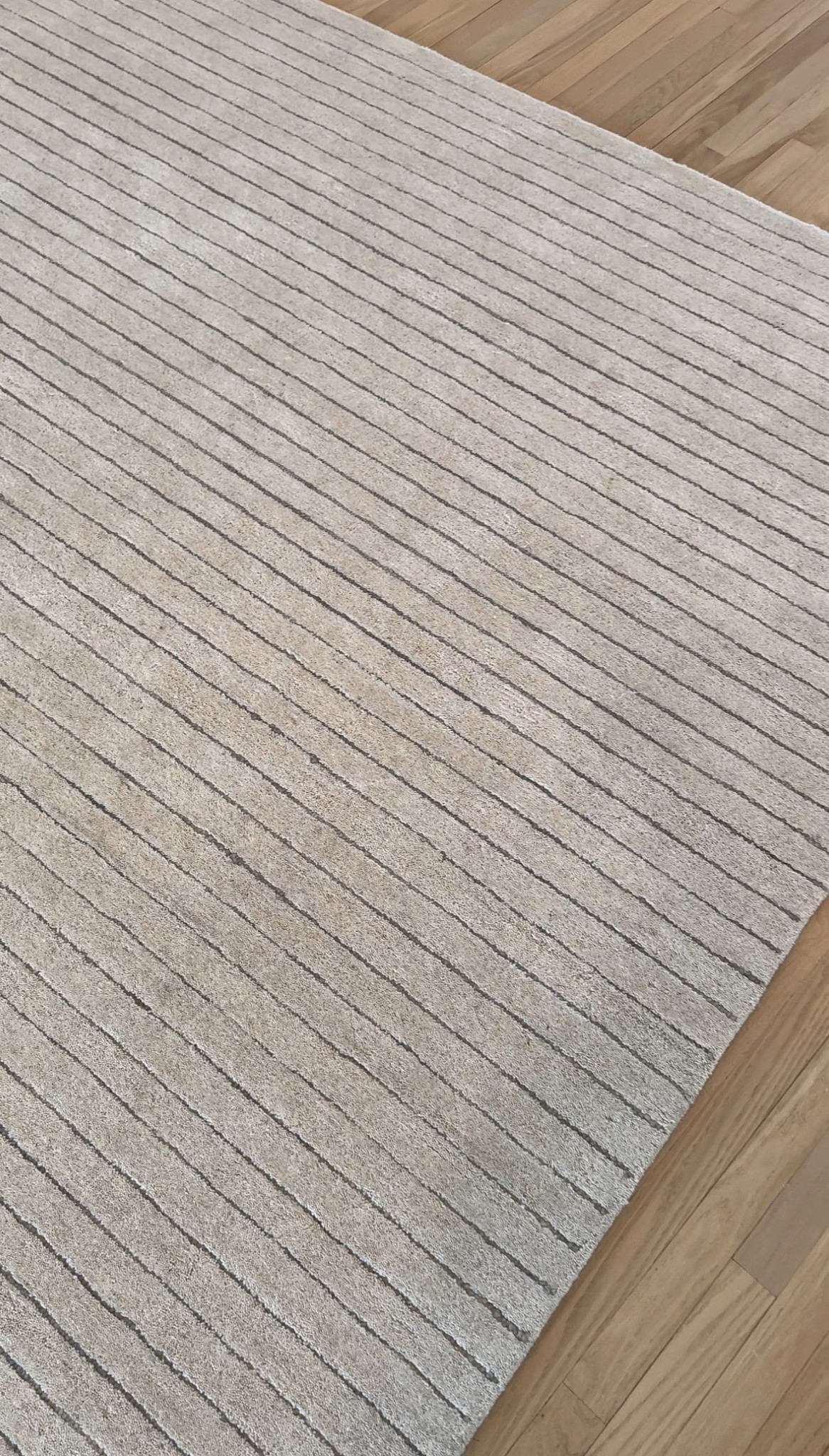 We just got this rug for Charlie’s room, and it’s so good! It’s plush but still great for foot traffic, and just the right neutral! 

#LTKKids #LTKHome