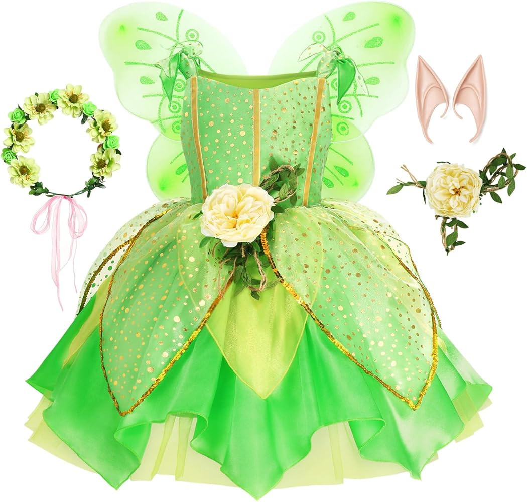 Fairy Costume for Birthday Party Halloween Costume Girls Princess Dress and Accessories Cosplay D... | Amazon (US)