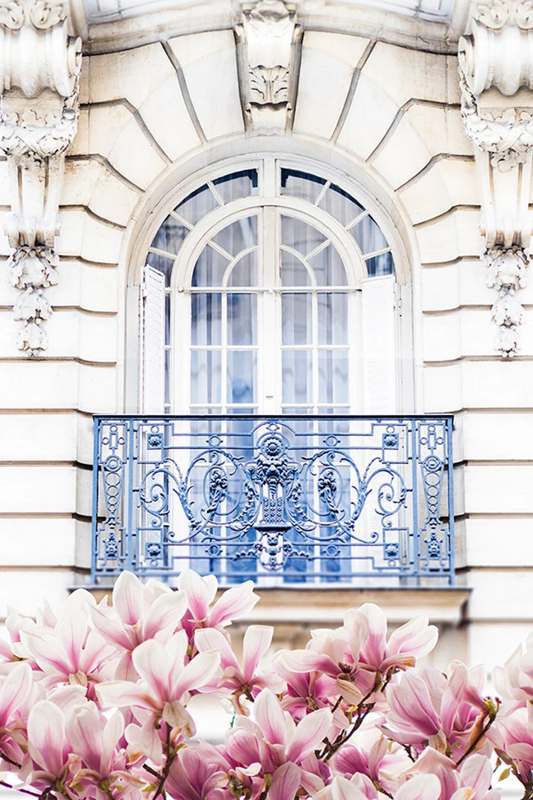 Paris Photography - Magnolia Blossoms under Balcony, Spring in Paris, Architecture Photograph, Tr... | Etsy (US)