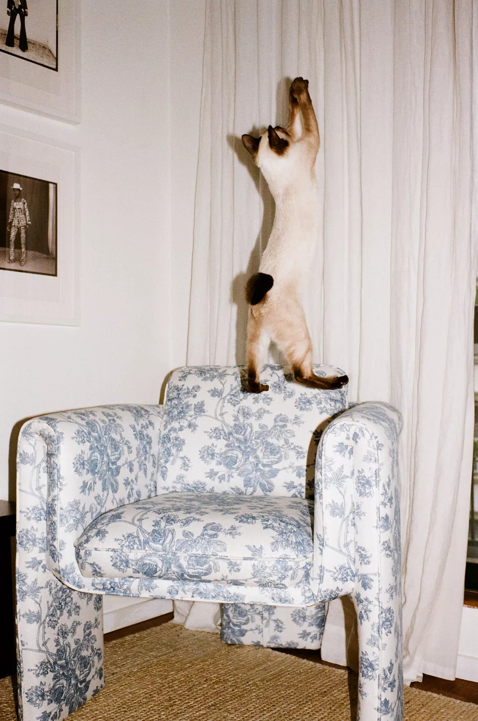 Floria Toile Chair | Urban Outfitters (US and RoW)