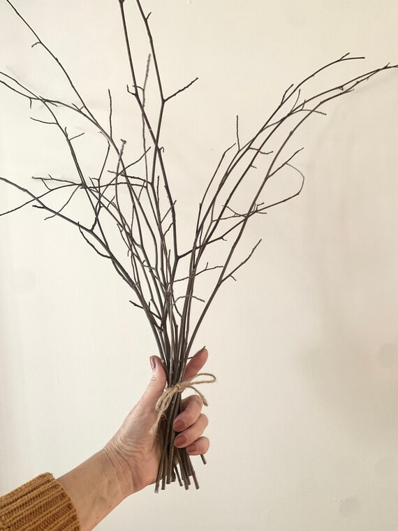 24 Inch Beech Branch Bundle | Etsy | Etsy (US)