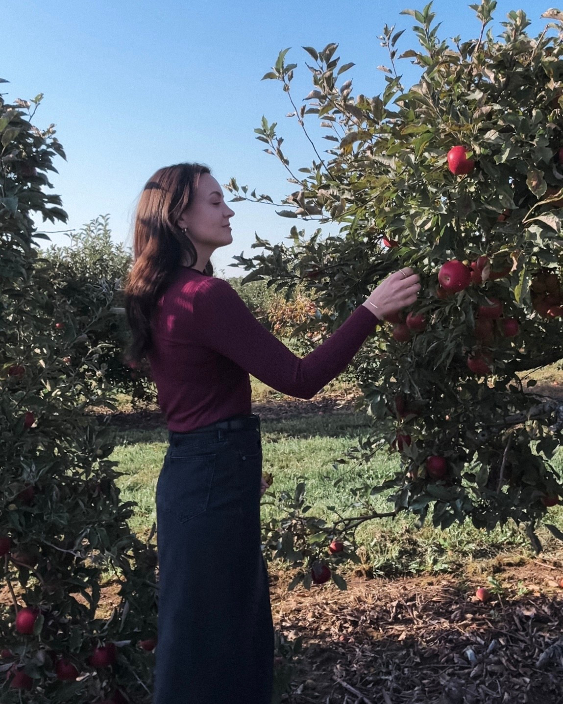 Fall outfit❤️

Apple picking denim skirt red top Pinterest girl aesthetic inspo

#LTKcanada #LTKstyletip