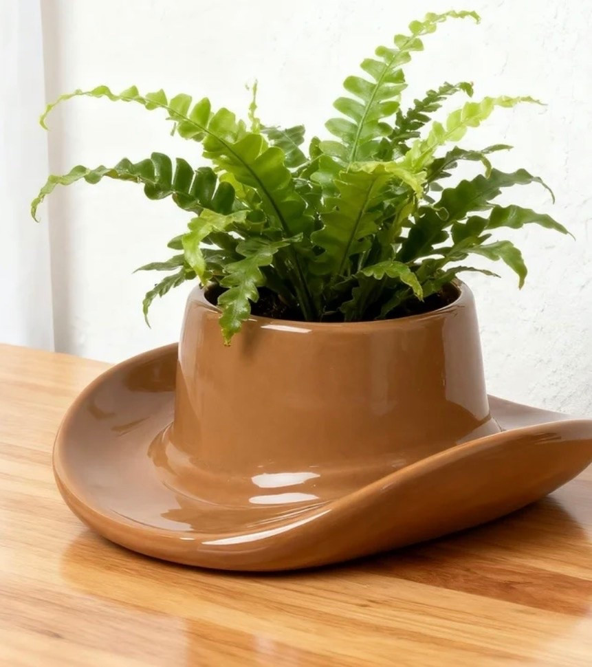 Literally the coolest planter I’ve ever seen for under $13

#LTKHome