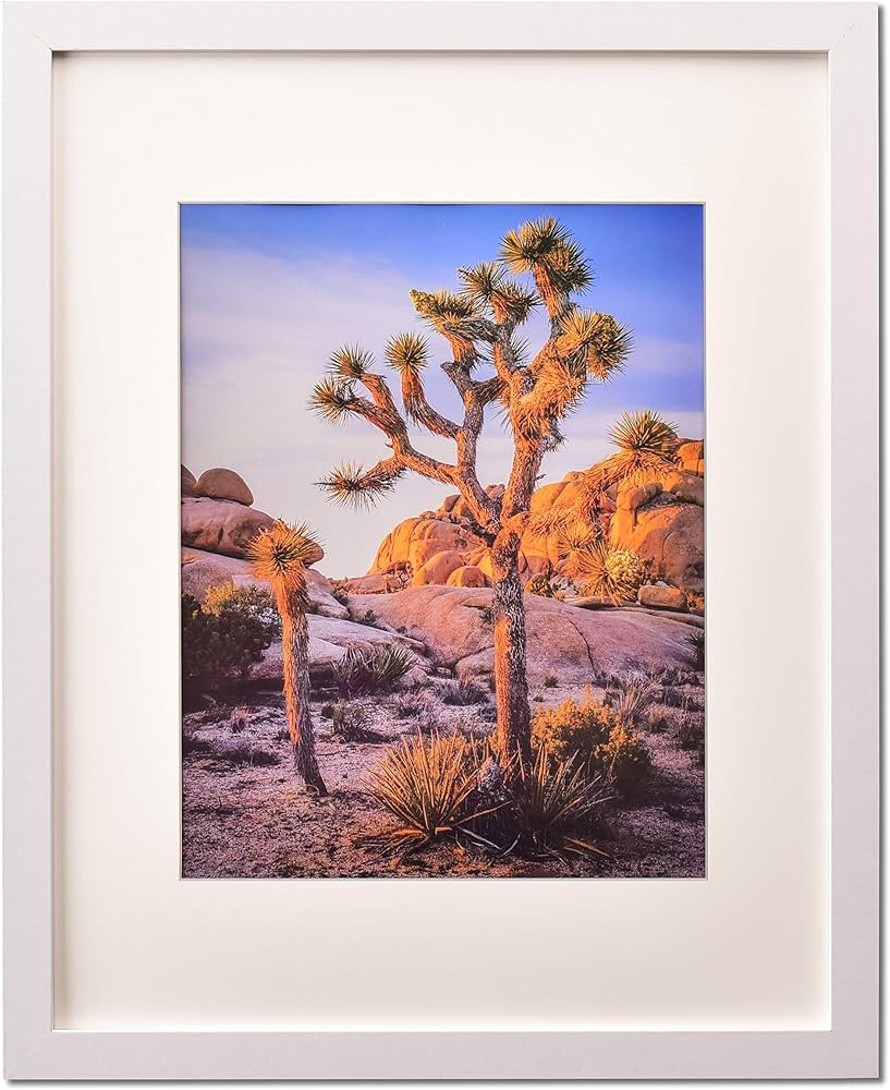 White 20x24 Picture Frame with mat for 16x20 Picture, 20x24 Poster Frame with Polished Plexiglass... | Amazon (US)