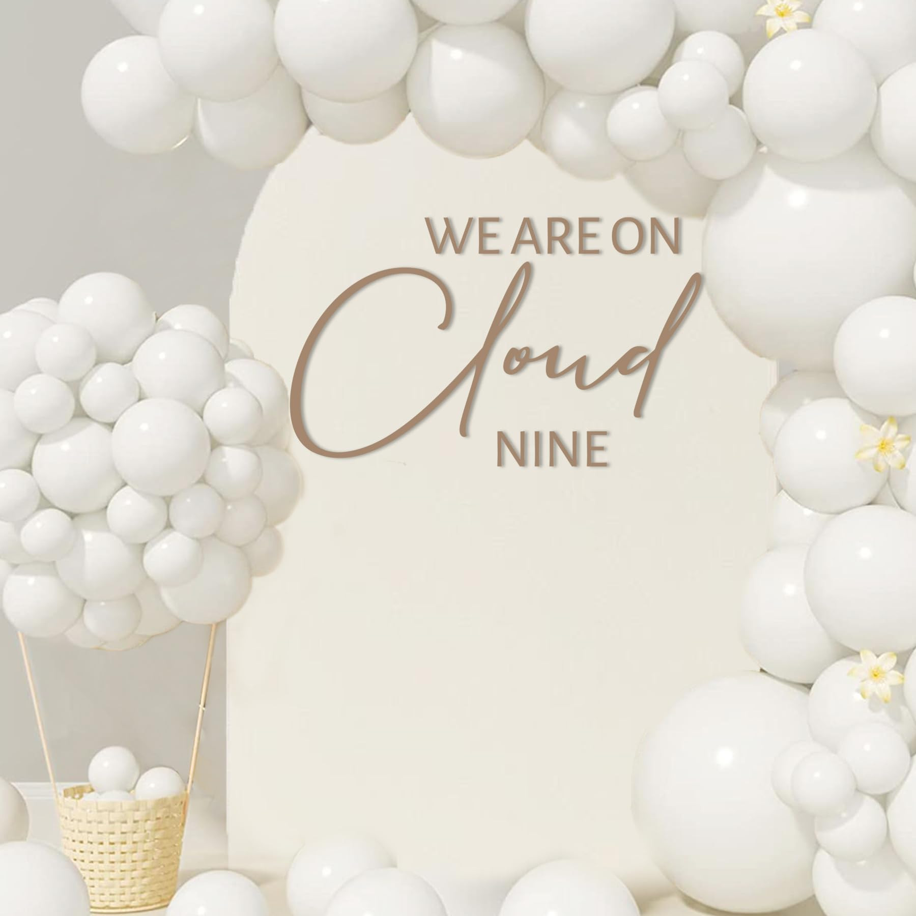 On Cloud Nine Decal for Ballon Arch Peel and Stick - Cloud Baby Shower Decorations,We are On Clou... | Amazon (US)