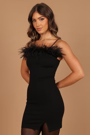 Oliver Feather Trim Mini Dress - Black | Petal & Pup (US)