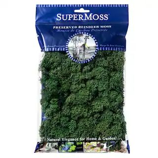 SuperMoss® Preserved Reindeer Moss, Forest | Michaels Stores
