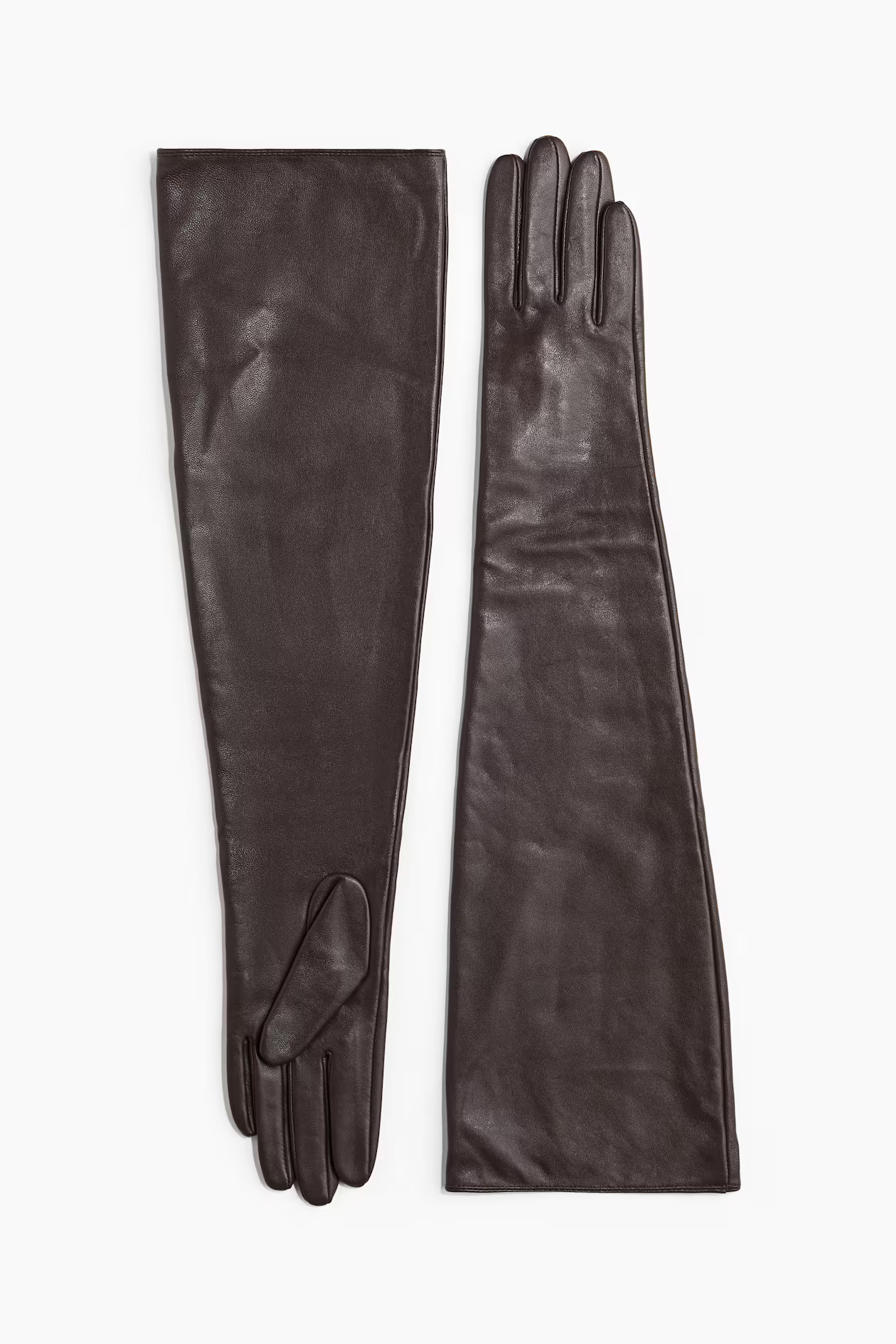 Long Leather Gloves | H&M (US + CA)