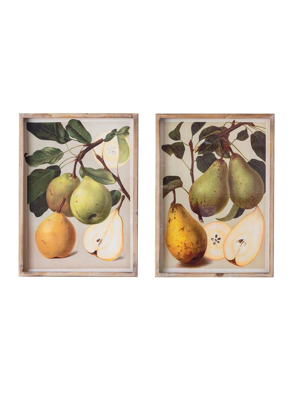 Bartlett Pear | Set of 2 | House of Jade Home