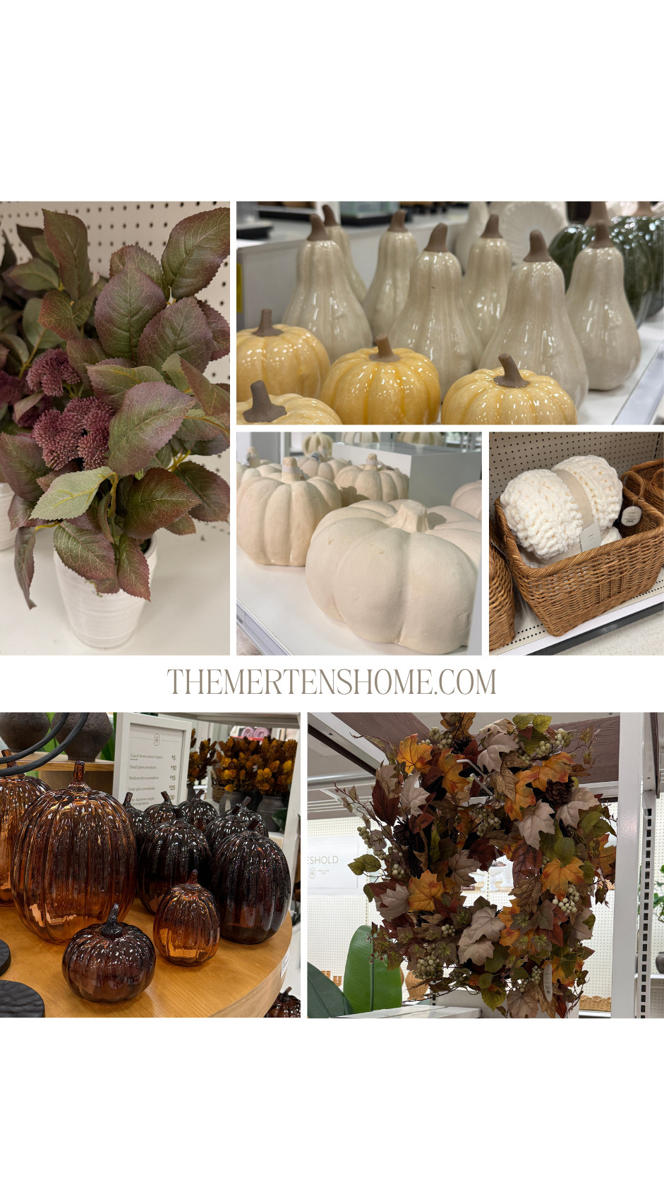 Target is making it way too easy to bring fall home 🤎 Cozy textures, warm neutrals, and elevated seasonal finds that look way more expensive than they are. 

 #LTKSeasonal #LTKHome
