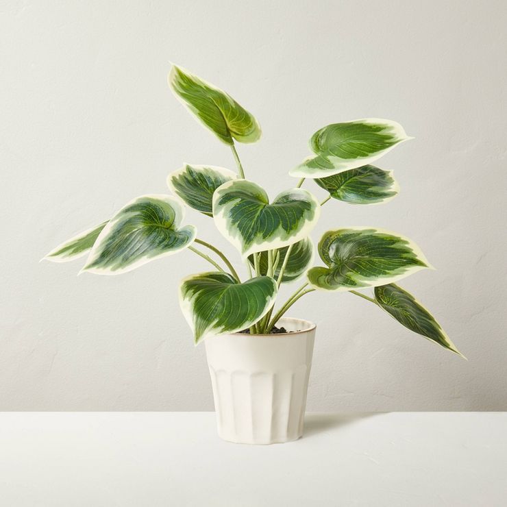 16&#34; Faux Philodendron Plant - Hearth &#38; Hand&#8482; with Magnolia | Target