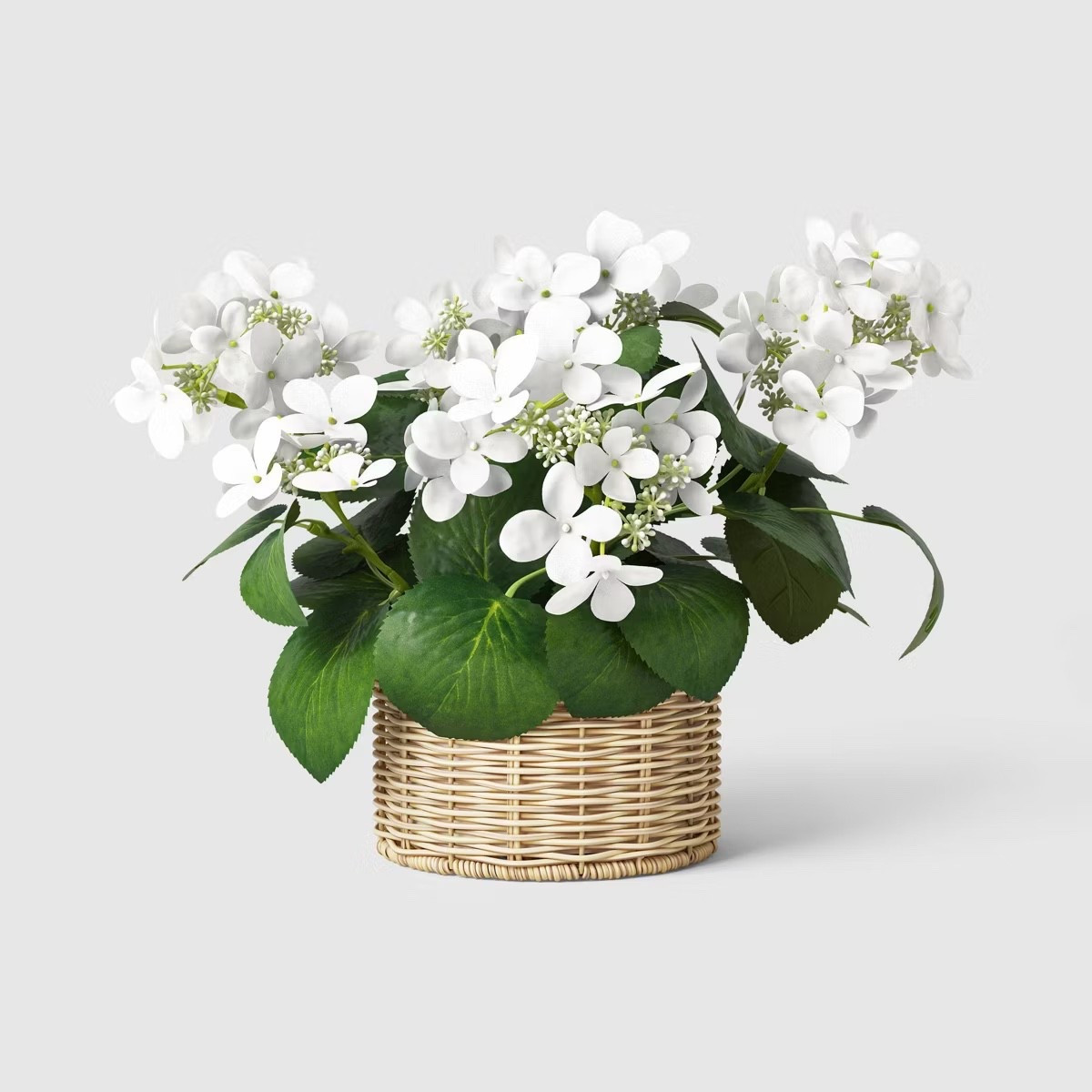 A cutie little hydrangea basket 

#target

#LTKMothersDay