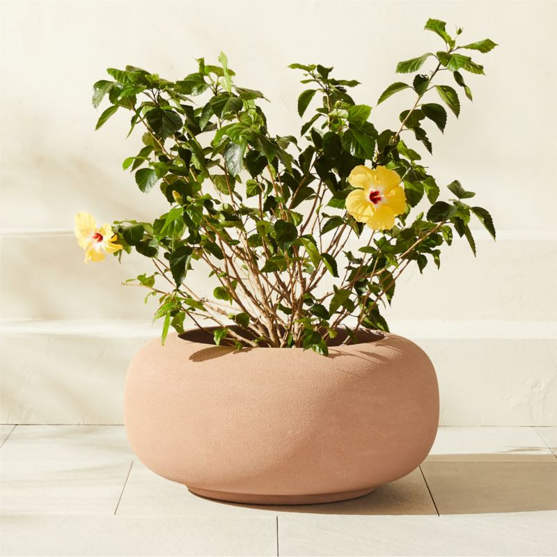 Anique Round Taupe Cement Indoor/Outdoor Planter Short | CB2 | CB2