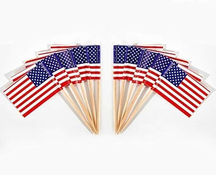 CYPS 100 Pcs USA American Flag US Toothpick Flags, Small Mini Stick Cupcake Toppers US Flags,4th ... | Amazon (US)