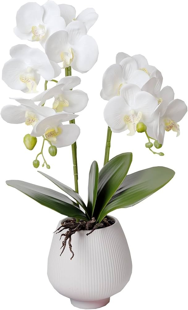 Orchid Artificial Orchids Flowers with Vase White Phalaenopsis Plant Silk Faux Orchids Fake Flowe... | Amazon (US)