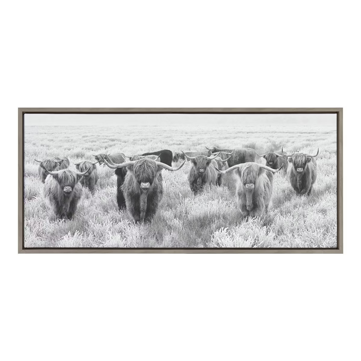 18" x 40" Sylvie Herd of Highland Cows by The Creative Bunch Studio Framed Canvas Black/White - K... | Target