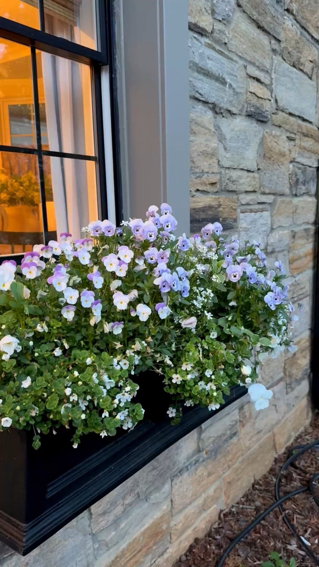 Window boxes...

#LTKSeasonal #LTKHome #LTKSaleAlert