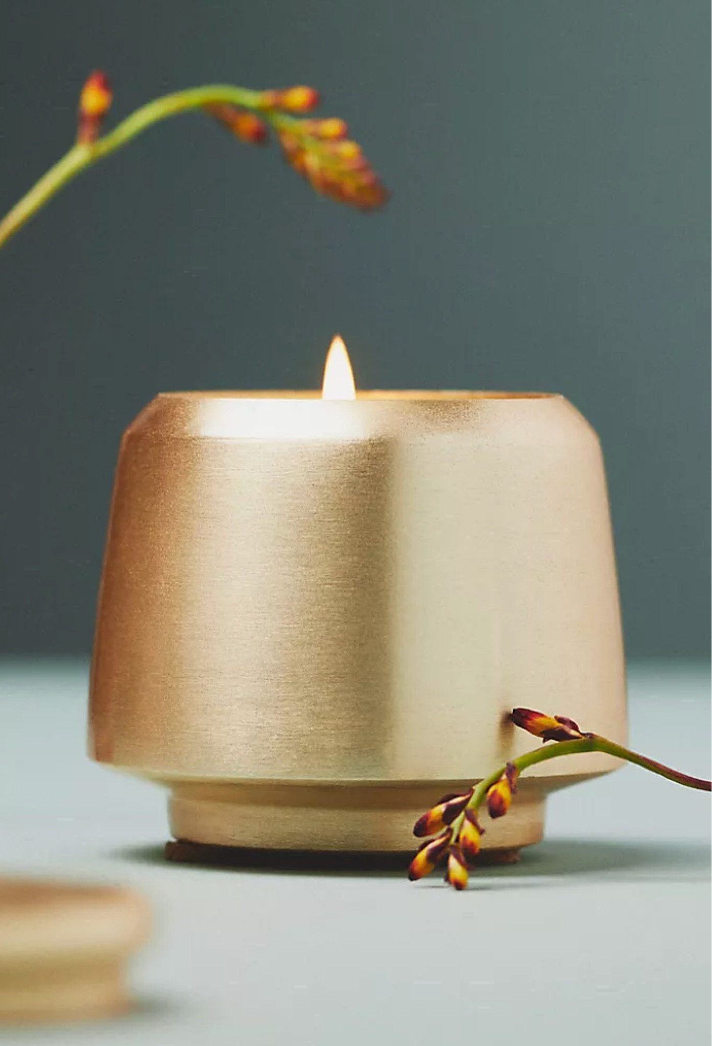 My favorite scents! Light up a candle or plug in your diffuser to add ambiance to your home. 