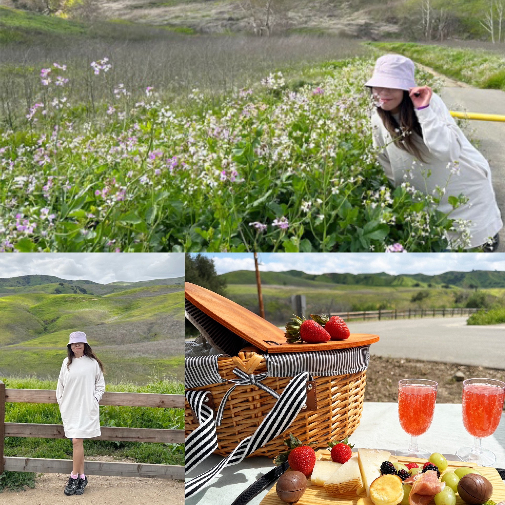 Plan your next hiking & picnic trip?

#LTKFind #LTKtravel #LTKSeasonal