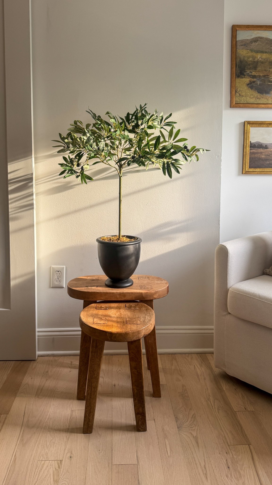 My jaw literally dropped when I found this faux olive tree at Target — it looks so real and it’s only $25 right now (50% off!!) 🤯

Here’s the catch: it’s no longer available online… BUT it’s showing up at local Target stores 👀 So if you’ve been wanting one, this is your sign to run to your nearest Target before it’s gone!! 🌿 #founditonltk



#LTKFindsUnder50 #LTKSaleAlert #LTKHome