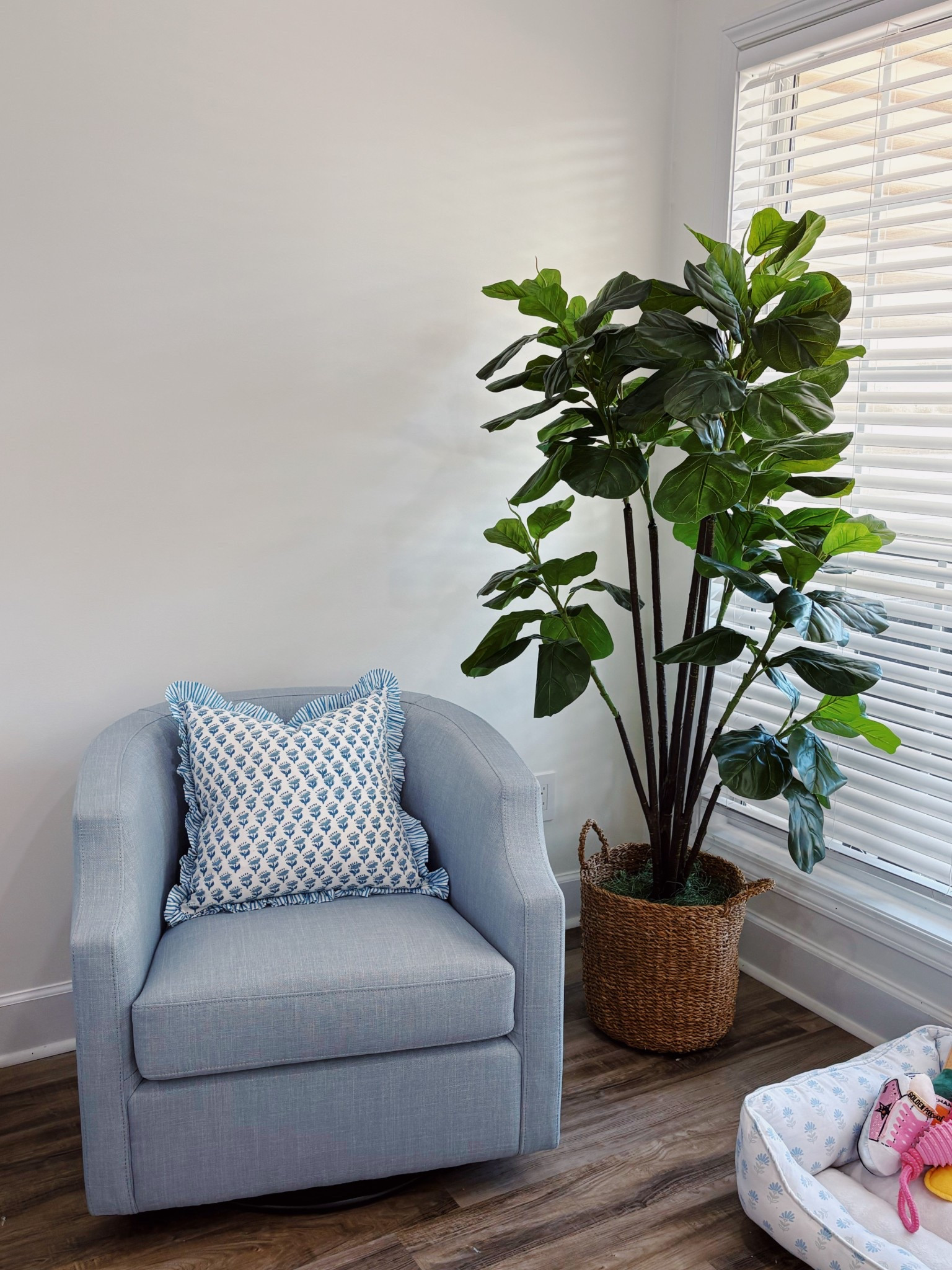 Living room decor🩵


#LTKSaleAlert #LTKStyleTip #LTKHome