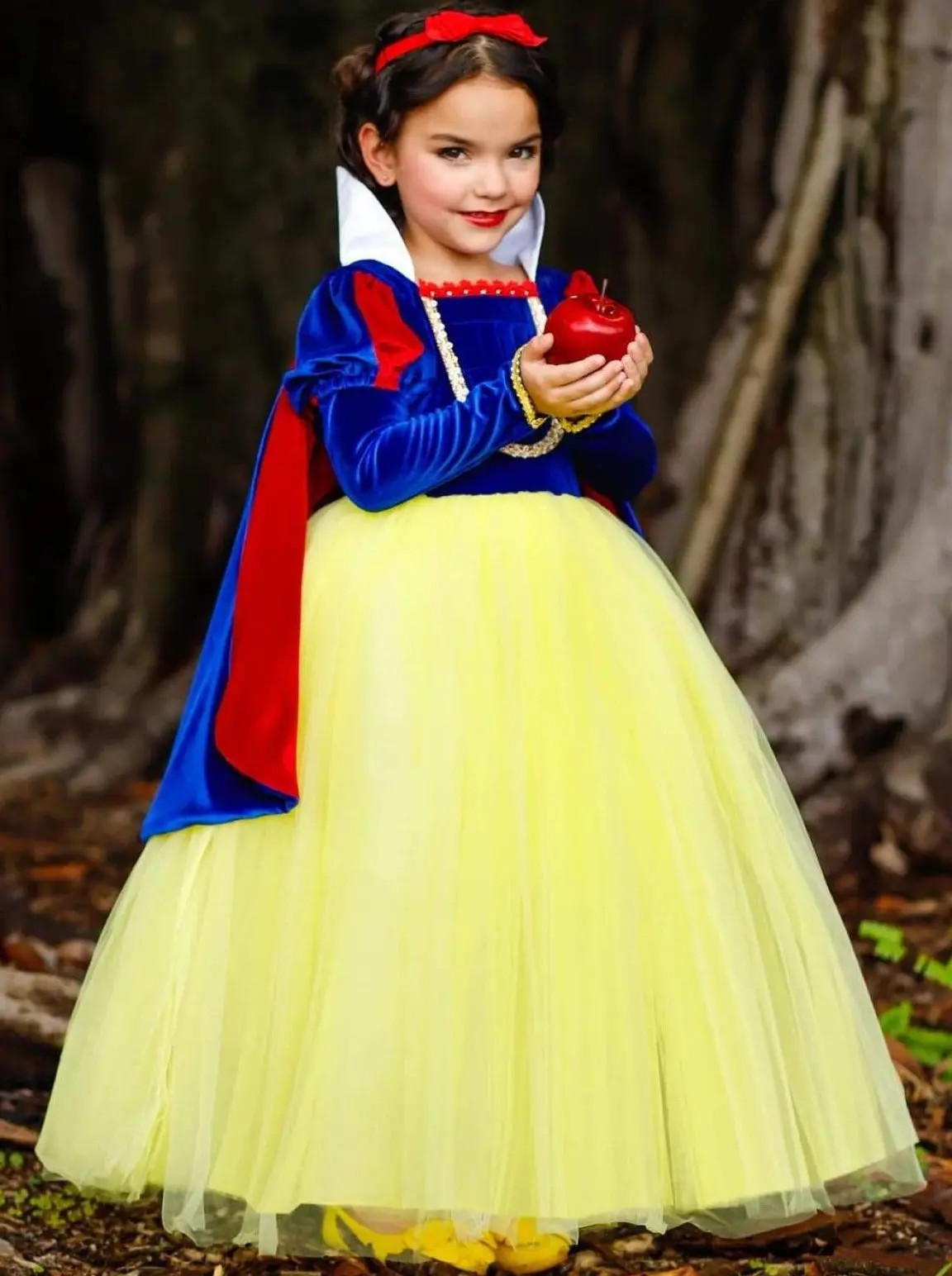 Girls Fairest Princess Deluxe Costume | Mia Belle Girls