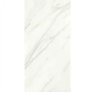 Florentine - 23-7/16" x 11-5/8" Rectangle Wall & Floor Tile - Unpolished Marble Visual | Build.com, Inc.