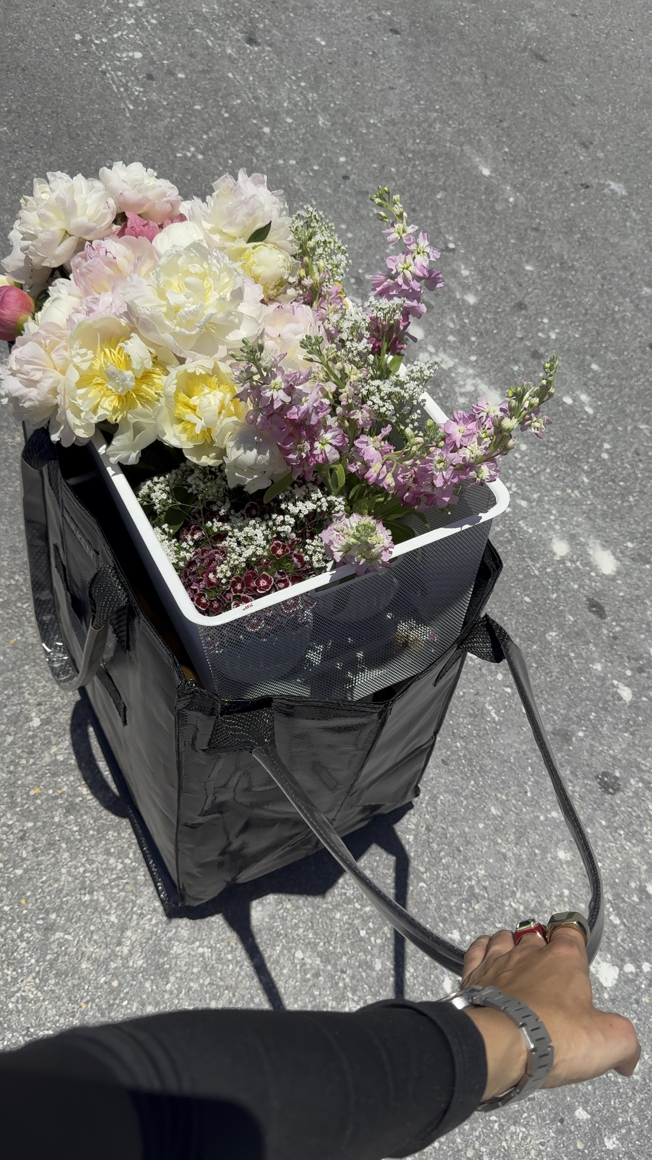 Hulken Rolling Tote Bag | The Container Store

#LTKFamily #LTKHome