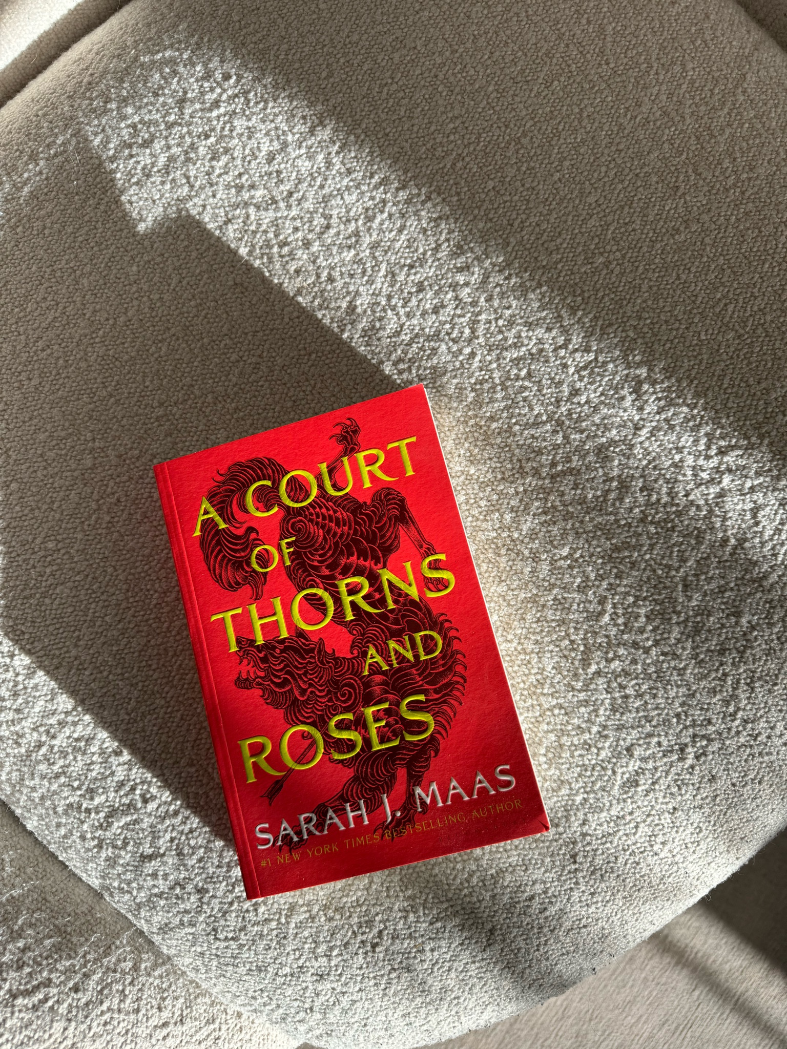 Last on the bandwagon but finally starting this series