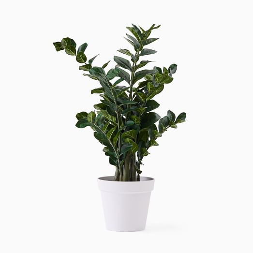 Faux Potted ZZ Plant | West Elm (US)
