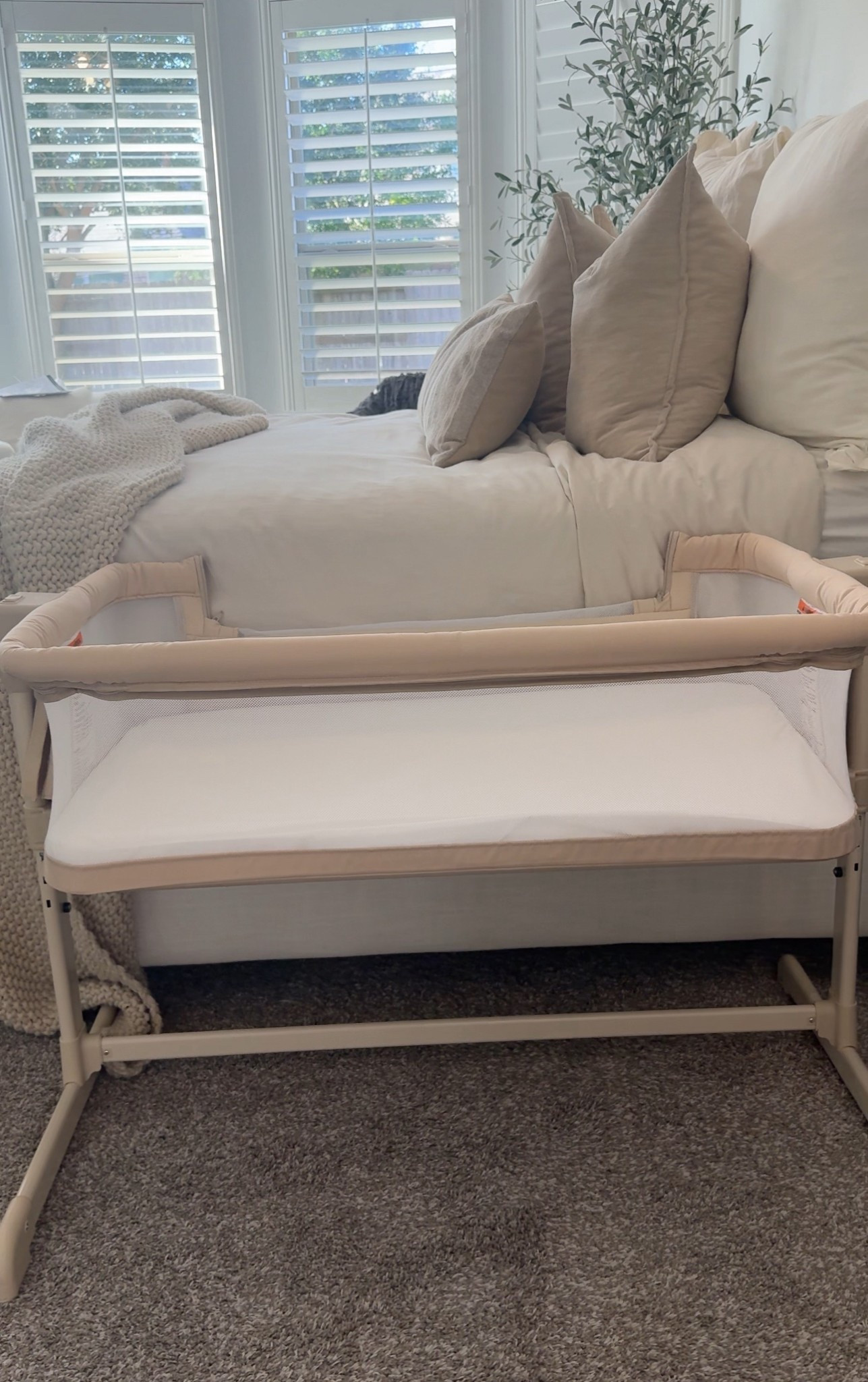 The halo bassinet bedside sleeper! Now all we need is bb girl! 


#LTKBump #LTKmomlife #LTKBaby