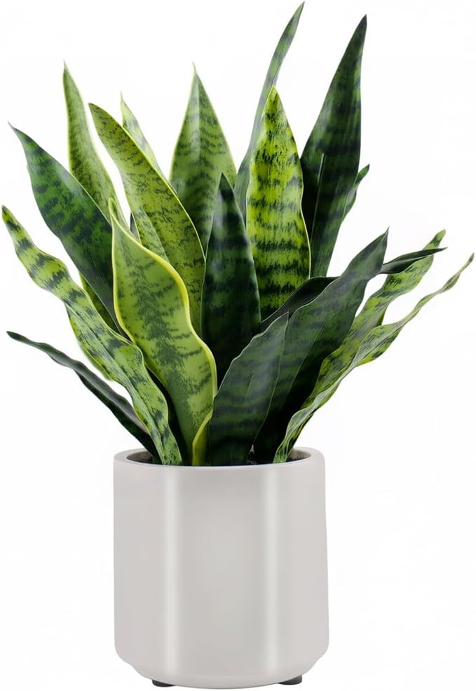 Fake Snake Plant 22" Tall, Realistic Touch Leaves, Potted Artificial Plants Indoor for Home Decor... | Amazon (US)