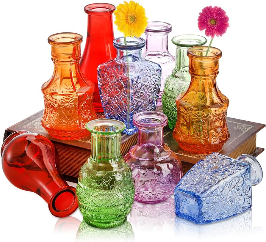 DEAYOU 10-Pack Glass Bud Vases for Decor, Small Vintage Flower Vases for Centerpieces, Crystal Co... | Amazon (CA)