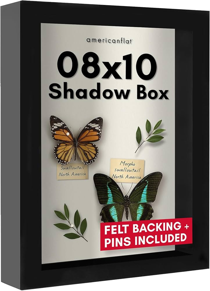 Americanflat 8x10 Shadow Box Frame with Shatter-Resistant Glass - Silhouette Collection - Large S... | Amazon (US)