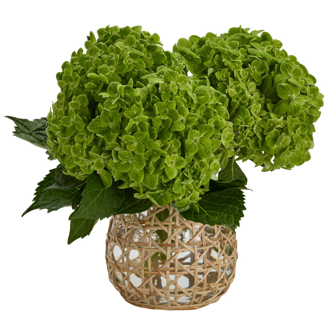 Cane Wrapped Curved Hurricane | Amanda Lindroth