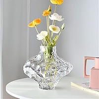 Irregular Glass vases, Personalized and Creative Home Decorations, electroplated Crafts, Flower A... | Amazon (US)