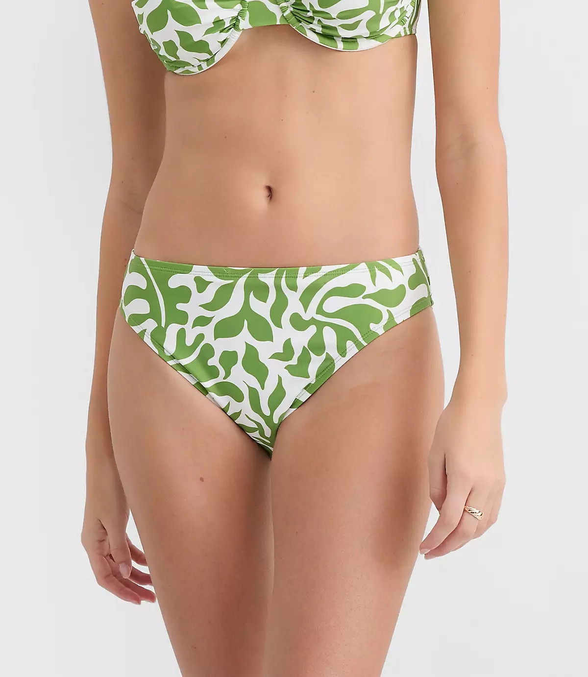 LOFT Beach Palm Classic Bikini Bottom | LOFT