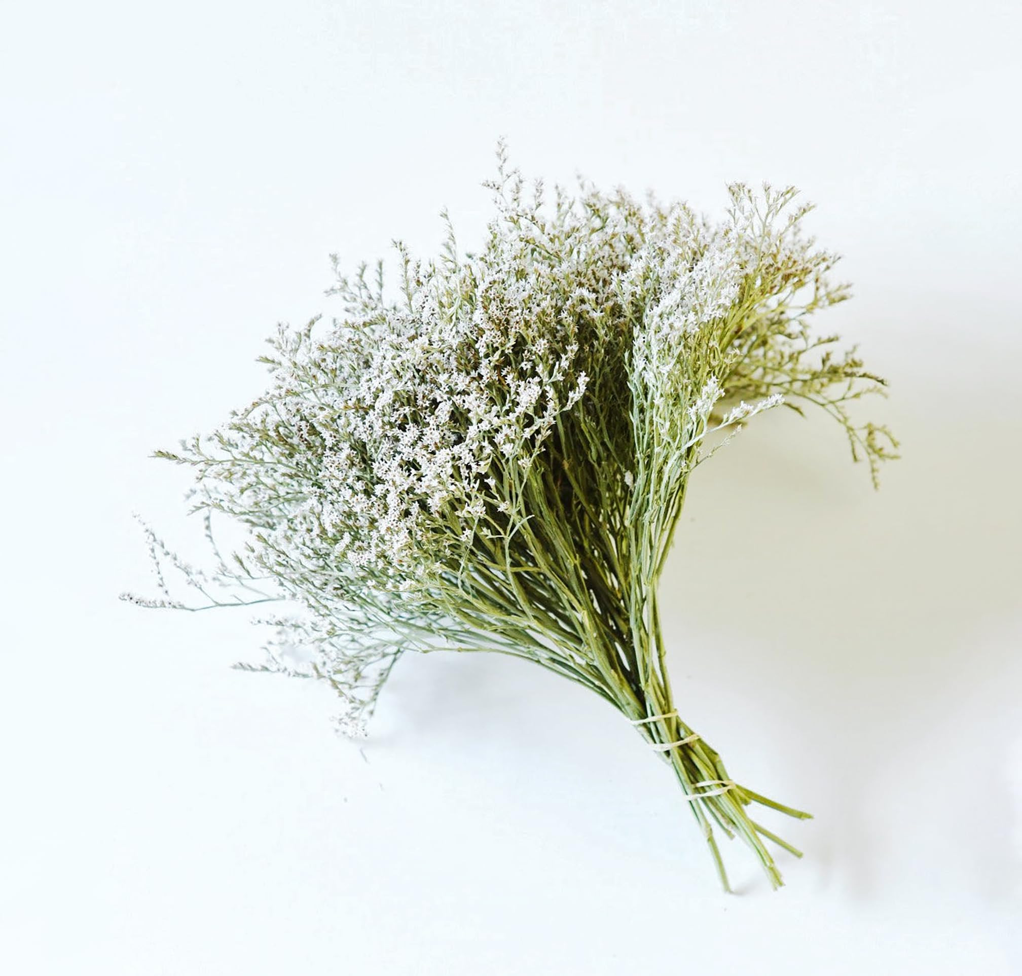 Dried German Statice Bunch - White & Green Flowers, Wedding Bouquet, Rustic Home Decor, Dried Wreath Supplies (2 or 4 oz) (2 Oz) | Amazon (US)