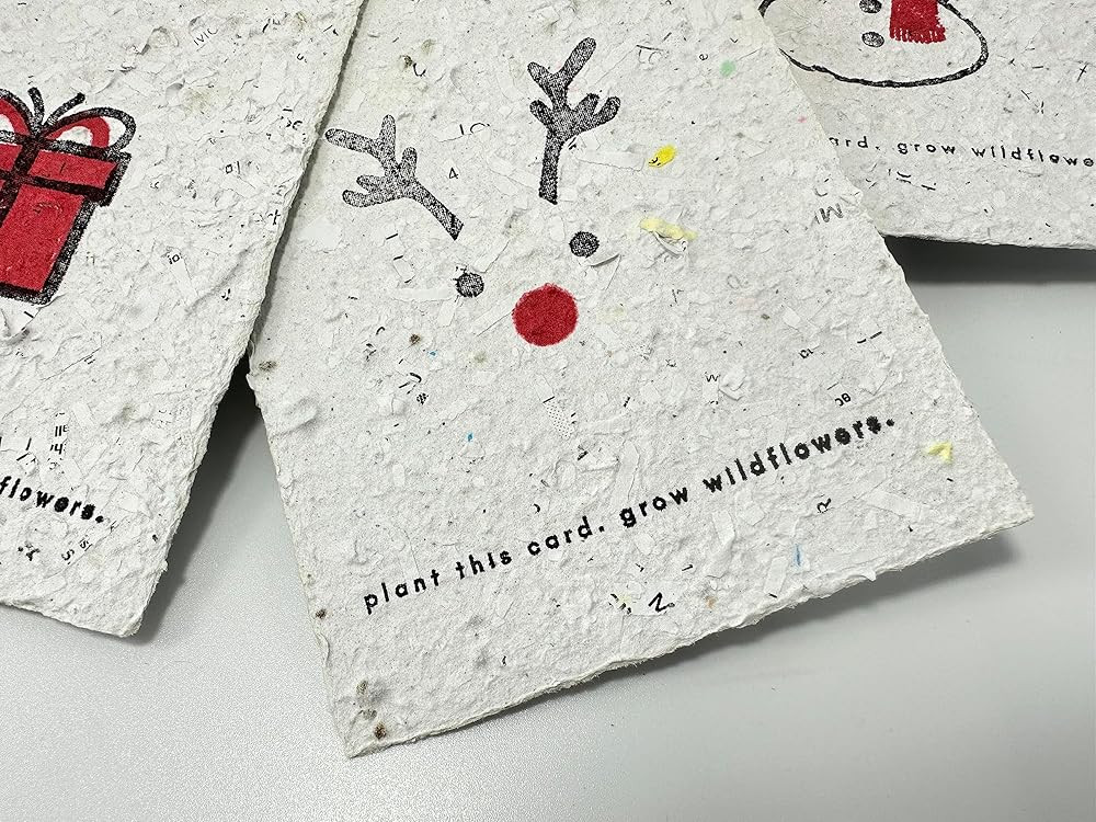 Seed Paper Christmas Cards -10 pack Assorted Designs | Amazon (US)