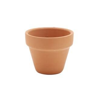 Clay Pot by Ashland™ | Michaels Stores