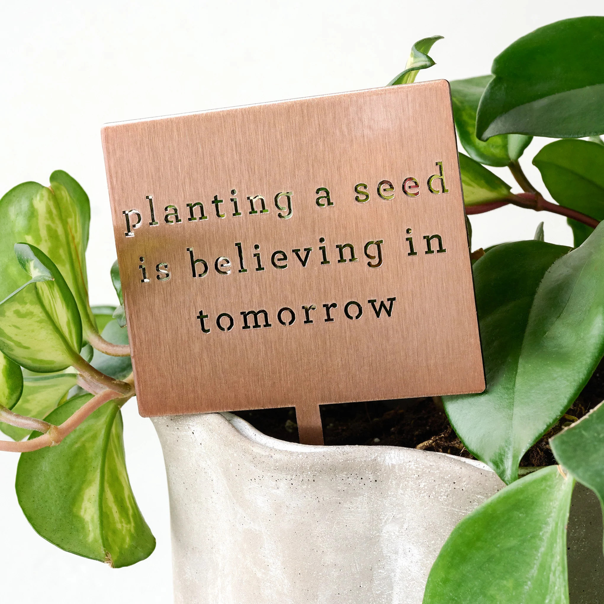 Planting A Seed Mini Garden Stake | Magnolia