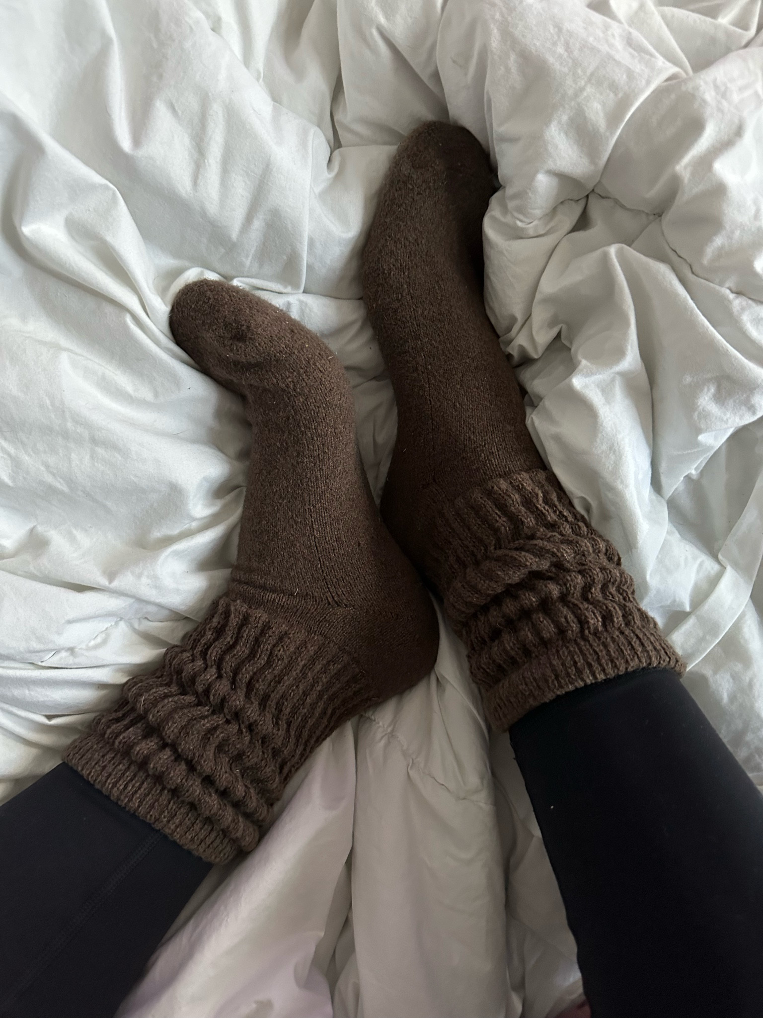 The comfiest chunky crew socks & they're only $5 

Target finds / target style / thick crew socks / fall 



#LTKSaleAlert #LTKSeasonal #LTKStyleTip