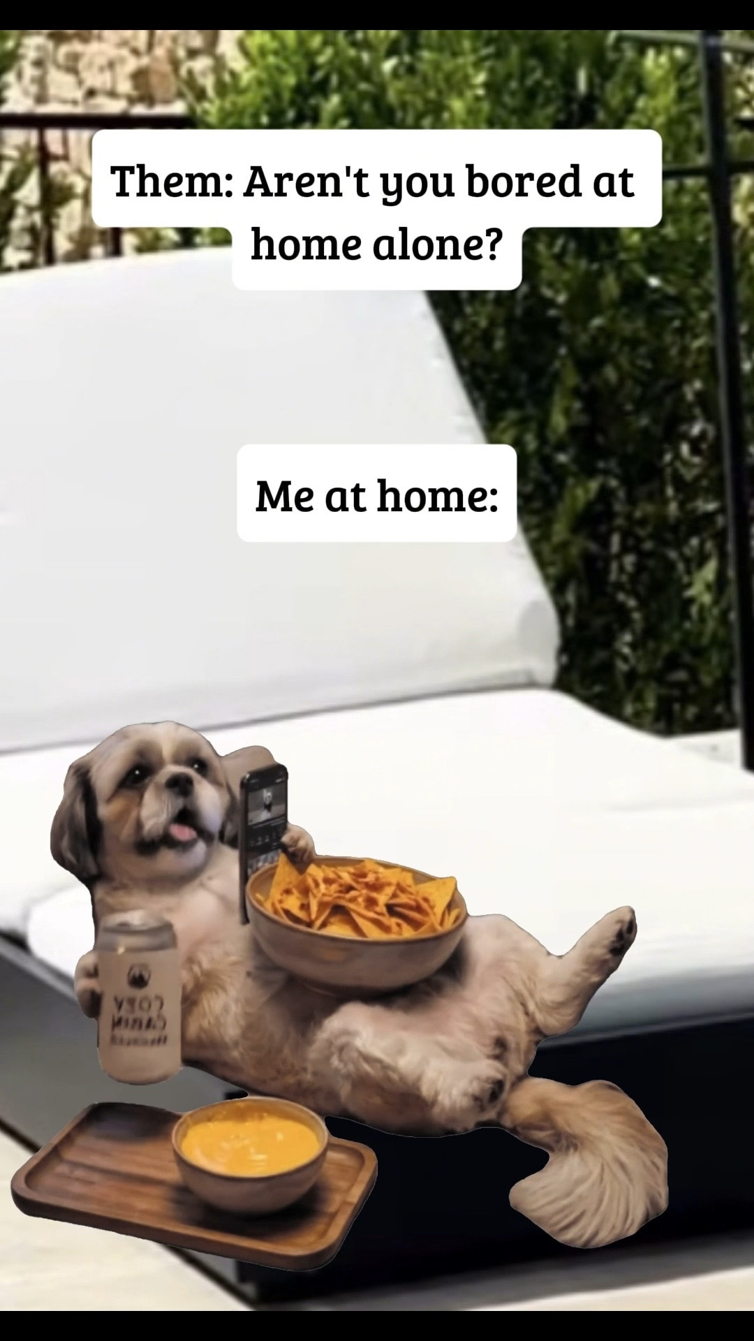… home vibes always win … #home #chillin #vibing #justme #doingme

#LTKdayinmylife