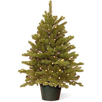 National Tree Company 'Feel Real' Artificial Christmas Tree For Entrances| Includes White Lights ... | Amazon (US)